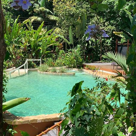 Rana Roja Lodge 托尔图格罗 外观 照片