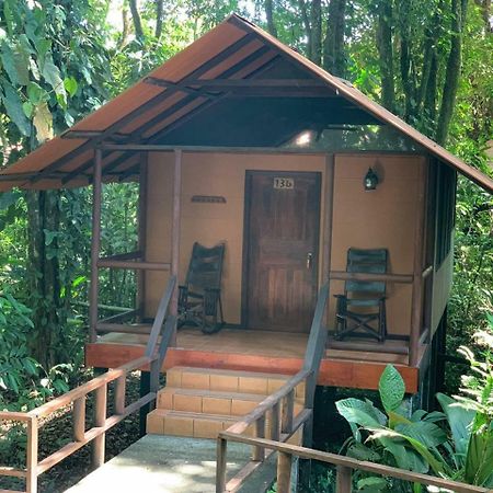 Rana Roja Lodge 托尔图格罗 外观 照片