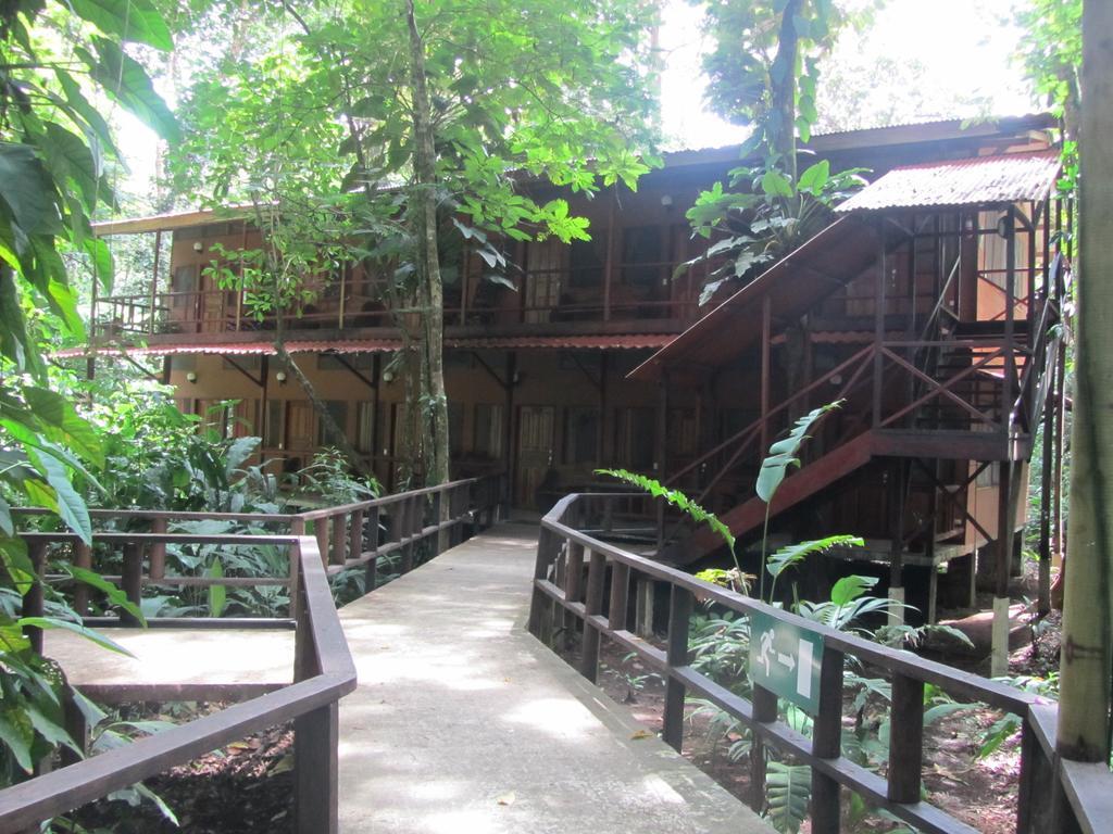 Rana Roja Lodge 托尔图格罗 外观 照片