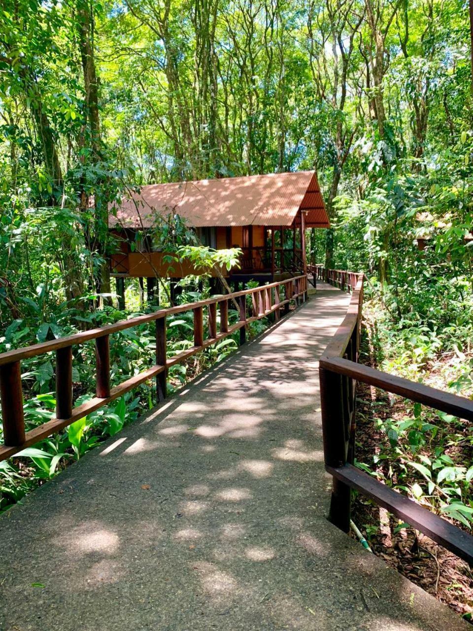 Rana Roja Lodge 托尔图格罗 外观 照片
