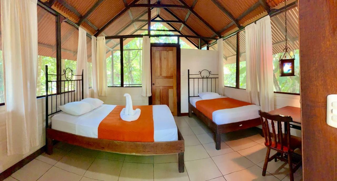 Rana Roja Lodge 托尔图格罗 外观 照片