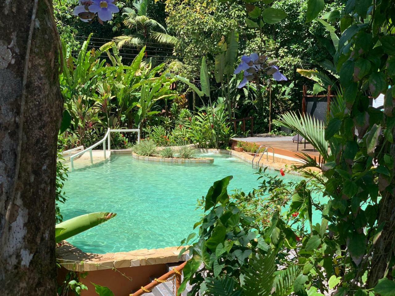 Rana Roja Lodge 托尔图格罗 外观 照片