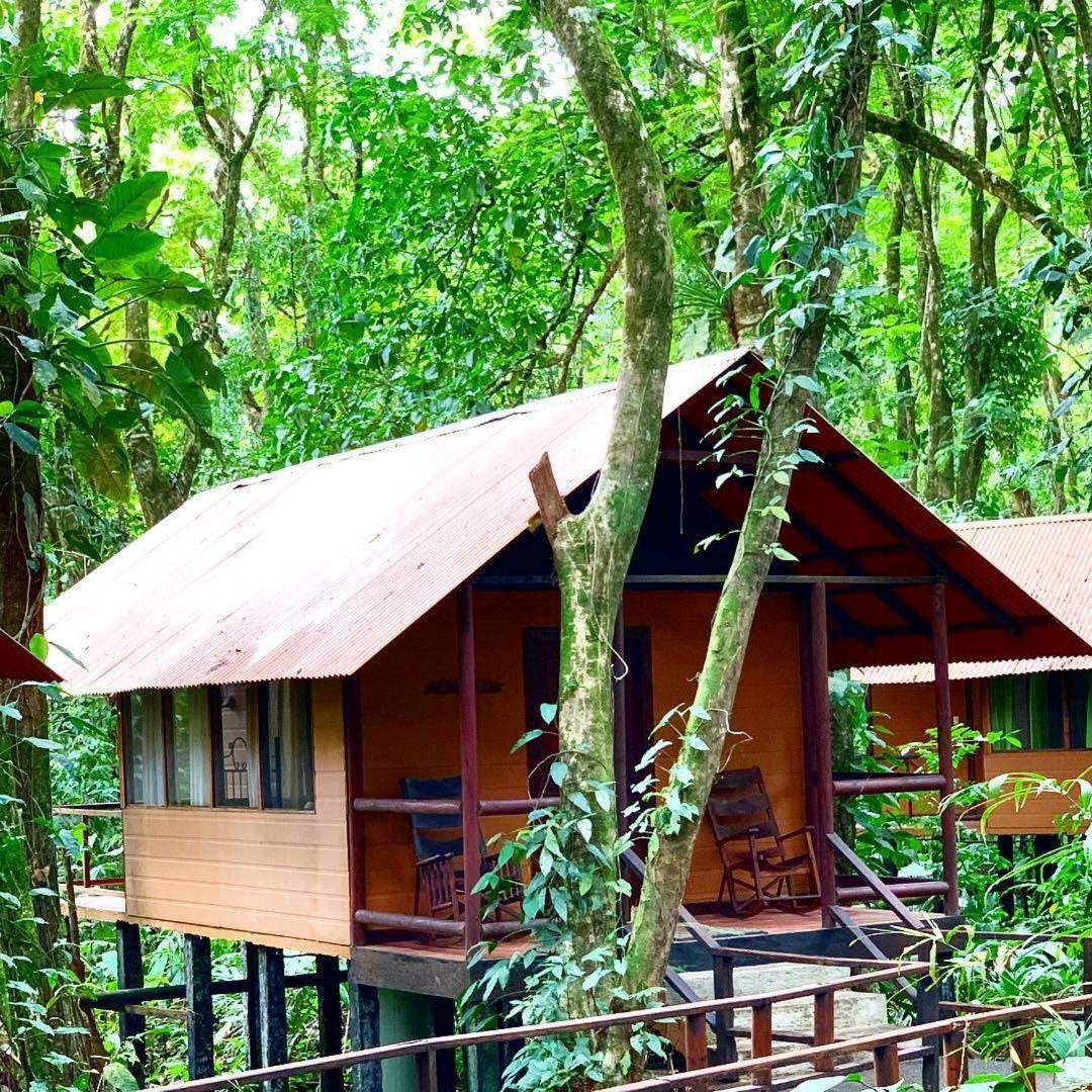 Rana Roja Lodge 托尔图格罗 外观 照片