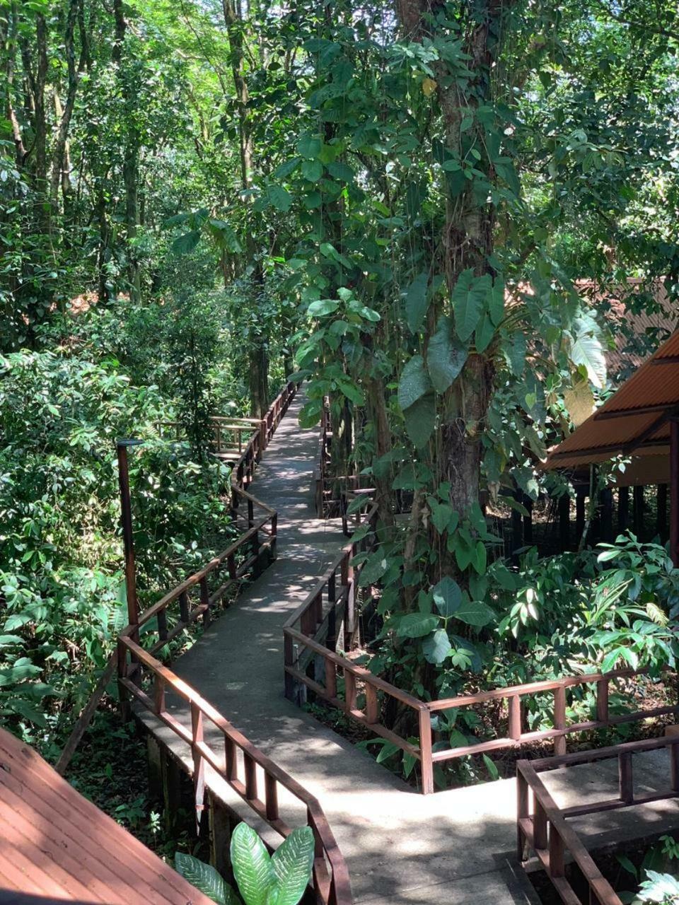 Rana Roja Lodge 托尔图格罗 外观 照片