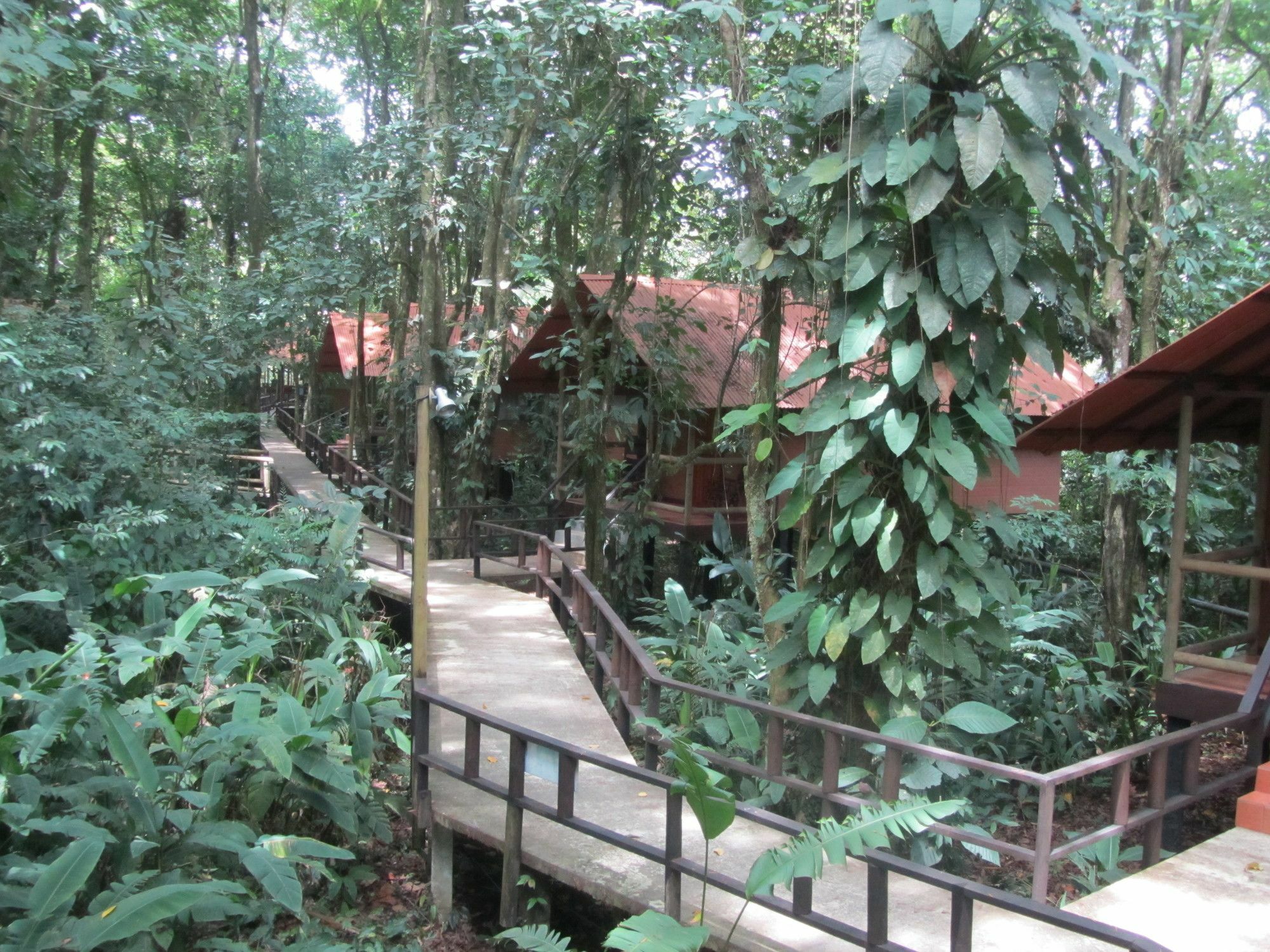 Rana Roja Lodge 托尔图格罗 外观 照片