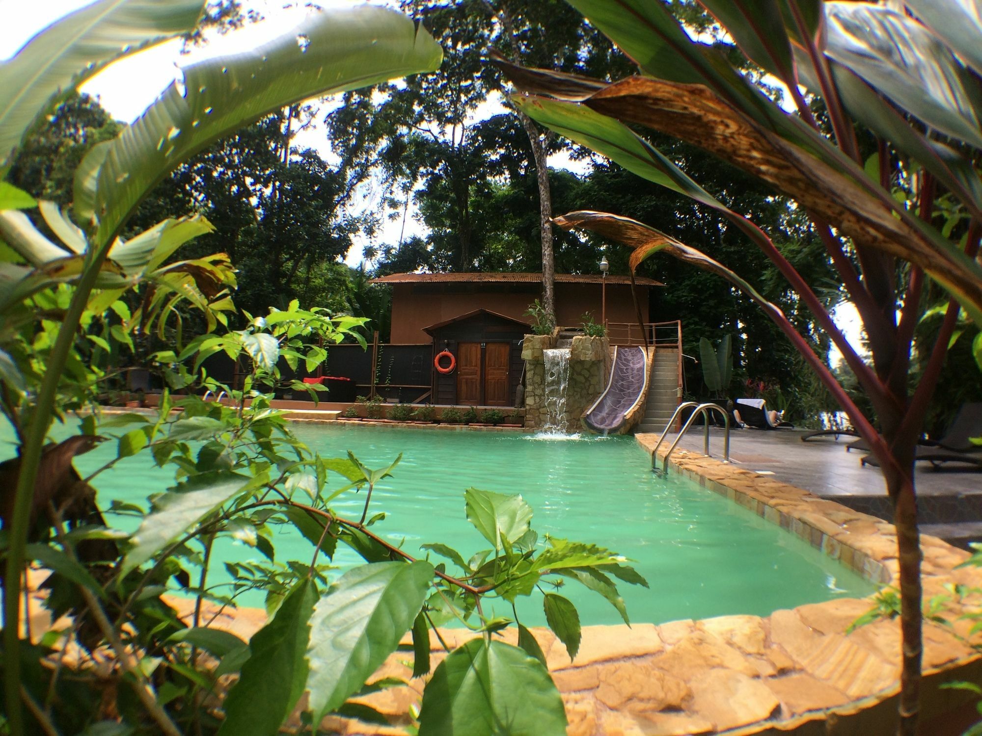 Rana Roja Lodge 托尔图格罗 外观 照片