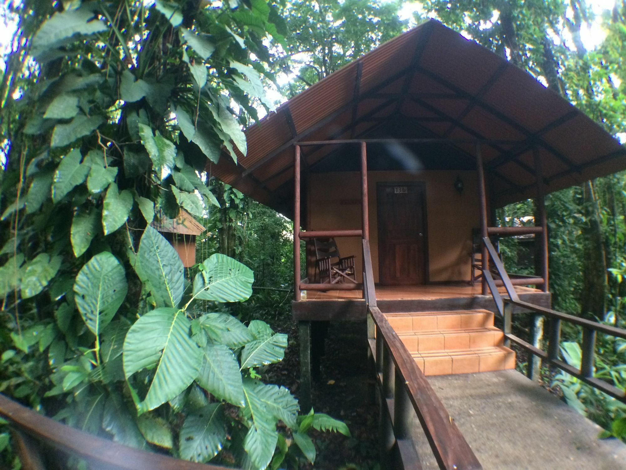Rana Roja Lodge 托尔图格罗 外观 照片