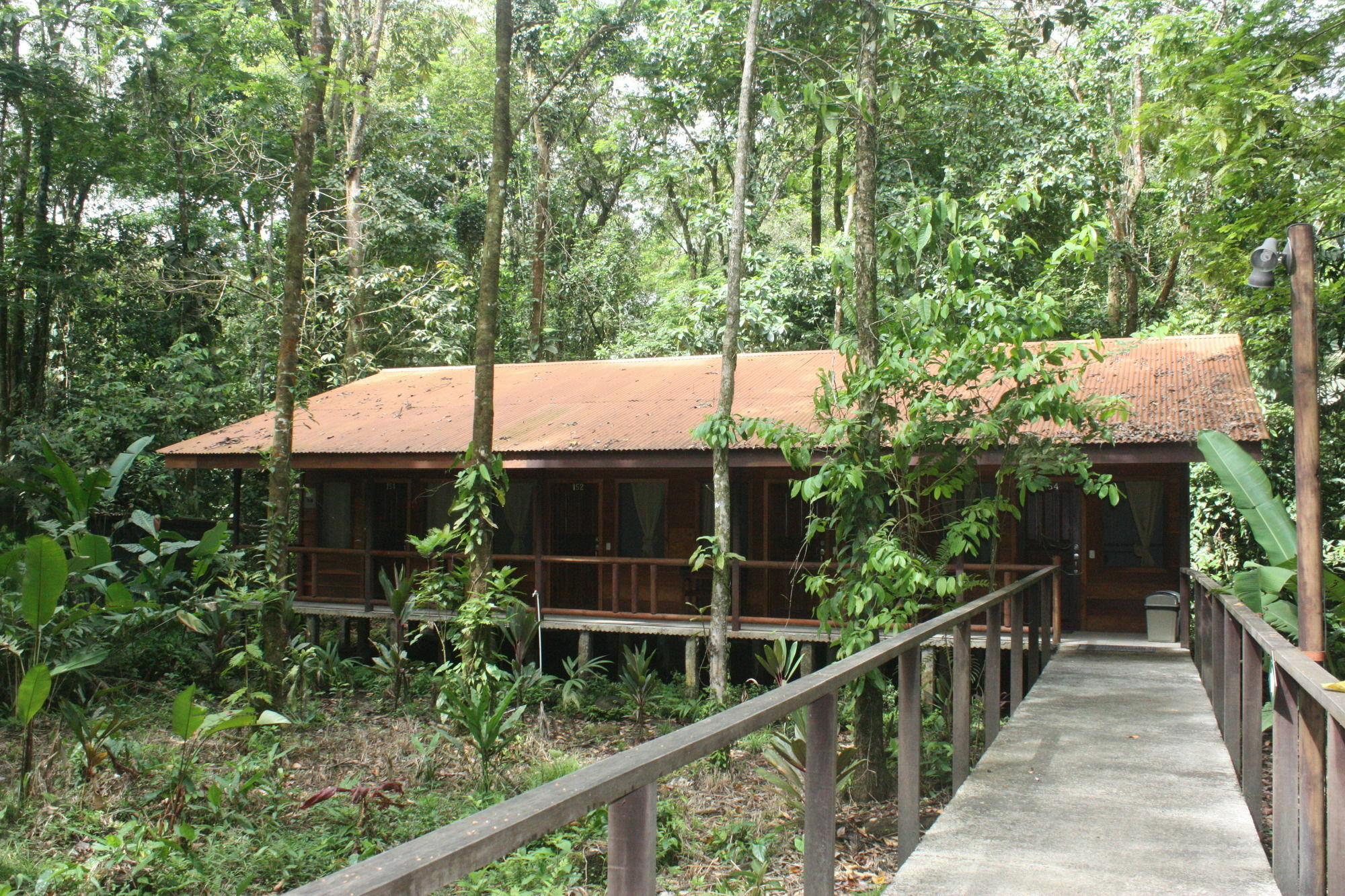Rana Roja Lodge 托尔图格罗 外观 照片